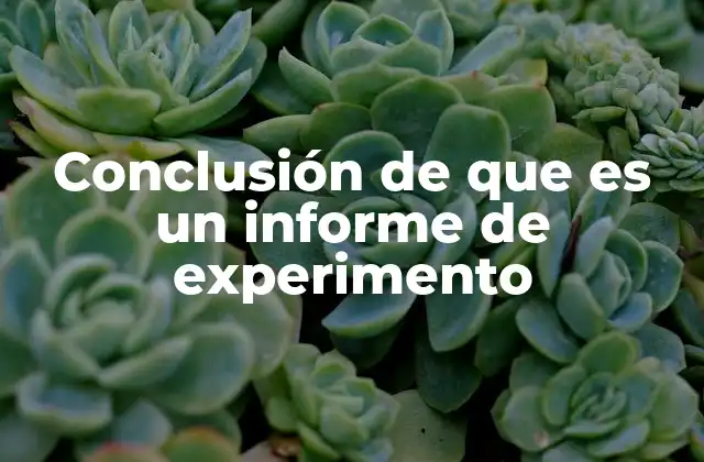 Conclusión de que es un Informe de Experimento