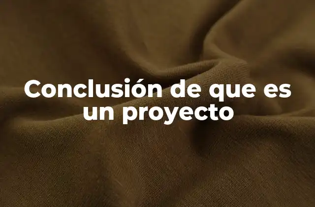 Conclusión de que es un Proyecto
