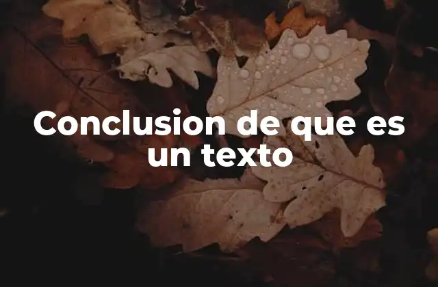 Conclusion de que es un Texto