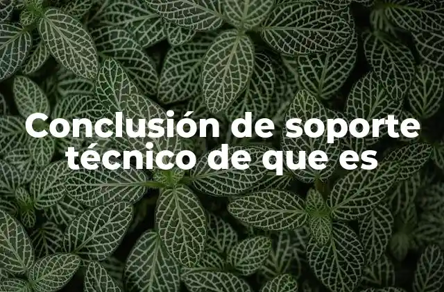 El impacto de la finalización del soporte técnico en los usuarios