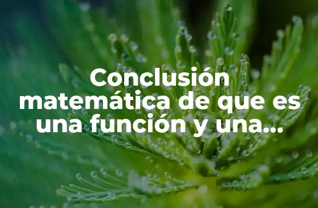 Conclusión Matemática de que es una Función y una Relación