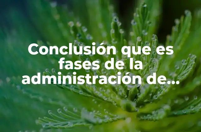 Conclusión que es Fases de la Administración de Proyectos