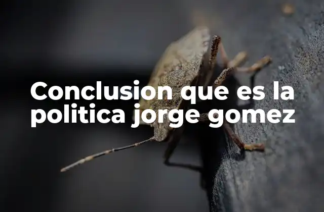Conclusion que es la Politica Jorge Gomez