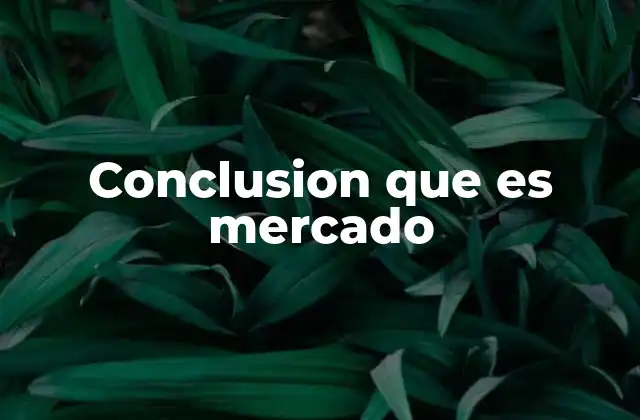 Conclusion que es Mercado