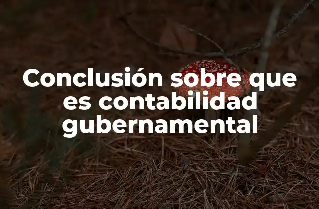 Conclusión sobre que es Contabilidad Gubernamental