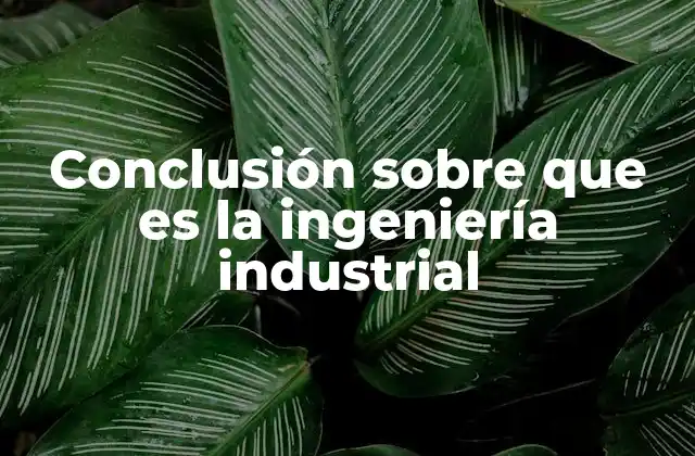 El papel de la ingeniería industrial en la economía moderna