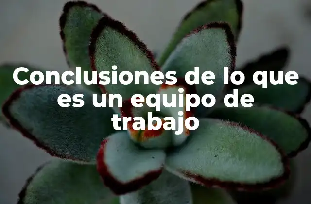 Conclusiones de Lo que es un Equipo de Trabajo