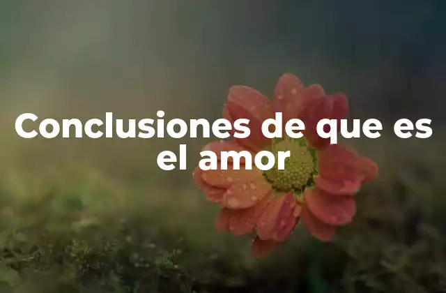 Conclusiones de que es el Amor 2 La evolución del concepto de amor a lo largo de la historia