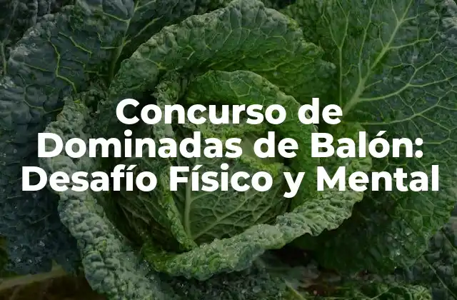 Concurso de Dominadas de Balón: Desafío Físico y Mental