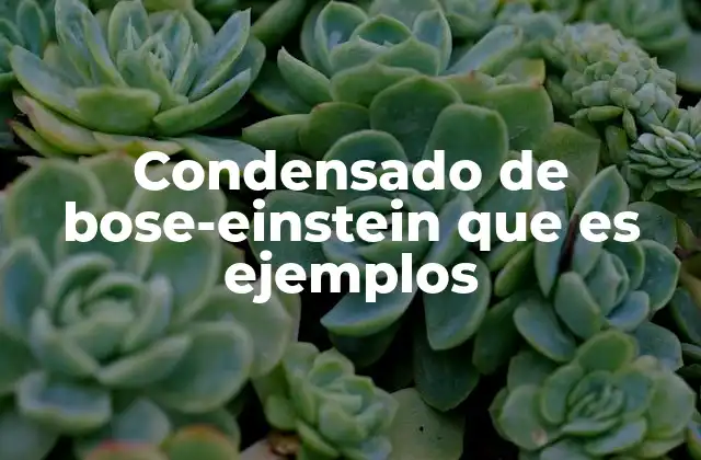Condensado de Bose-einstein que es Ejemplos