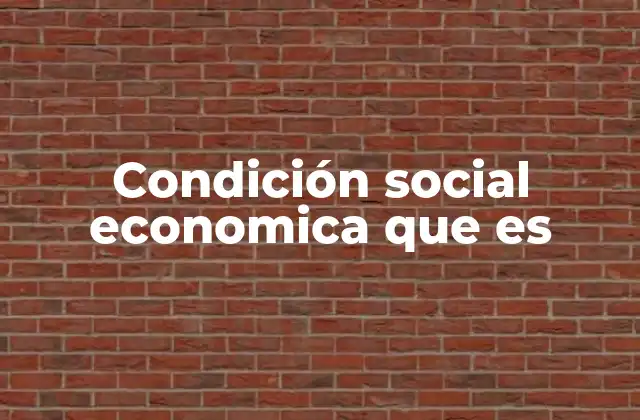 Condición Social Economica que es