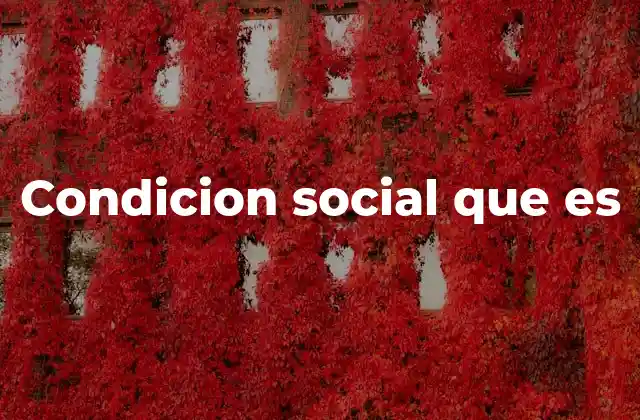 Condicion Social que es