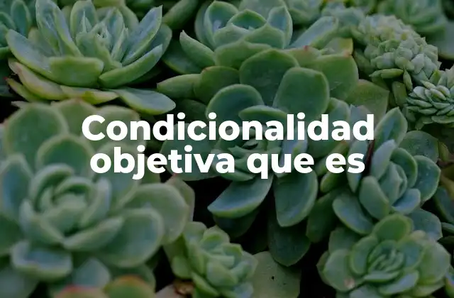Condicionalidad Objetiva que es 2 El papel de la condicionalidad objetiva en la cooperación internacional