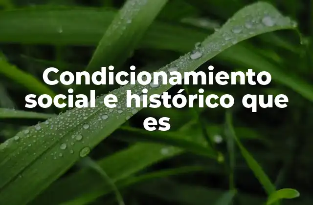 Condicionamiento Social e Histórico que es