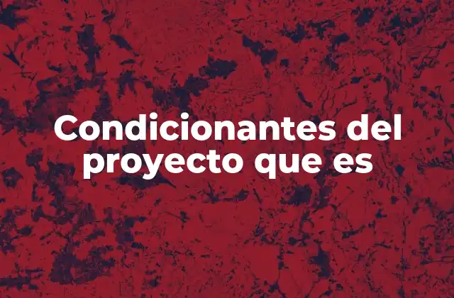 Condicionantes Del Proyecto que es