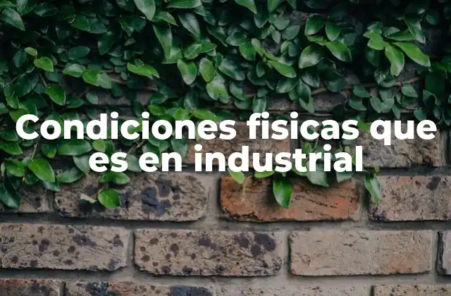 Condiciones Fisicas que es en Industrial