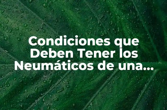 Condiciones que Deben Tener los Neumáticos de una Motocicleta para Circular con Seguridad