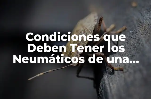 Condiciones que Deben Tener los Neumáticos de una Motocicleta para un Uso Seguro