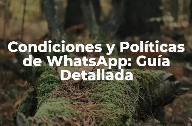 Condiciones y Políticas de Whatsapp: Guía Detallada