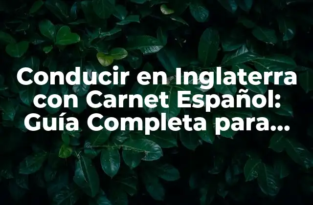 Conducir en Inglaterra con Carnet Español: Guía Completa para Conductores Españoles