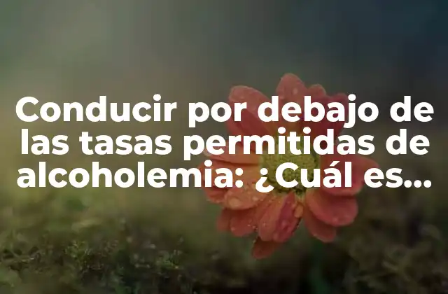 Conducir por Debajo de las Tasas Permitidas de Alcoholemia: ¿cuál es el Límite Seguro?