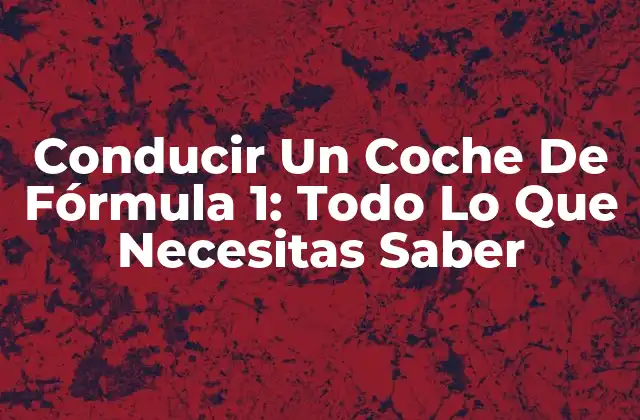 Conducir un Coche de Fórmula 1: Todo Lo que Necesitas Saber
