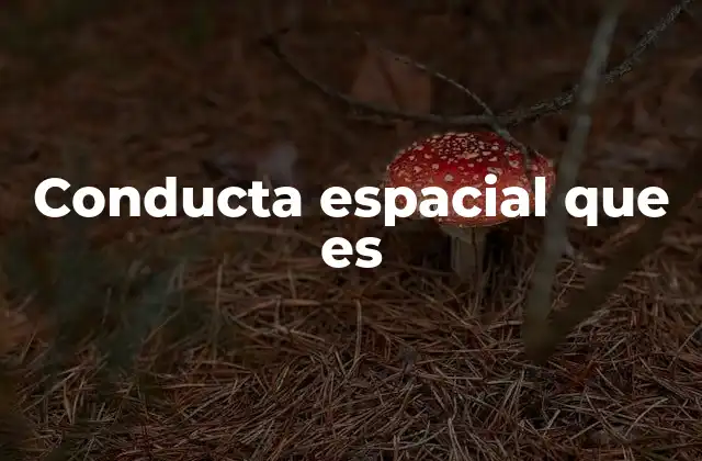 Conducta Espacial que es