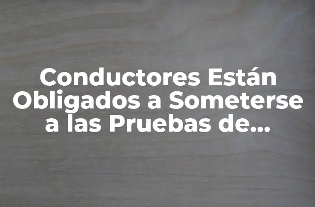 Conductores Están Obligados a Someterse a las Pruebas de Alcoholemia: Todo Lo que Necesita Saber
