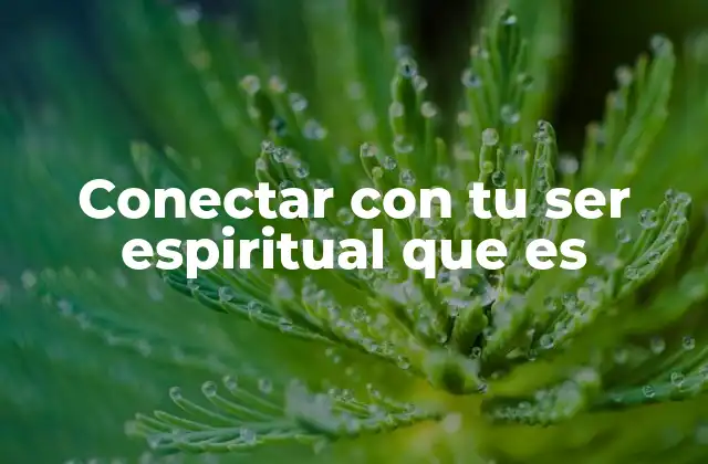 Conectar con Tu Ser Espiritual que es