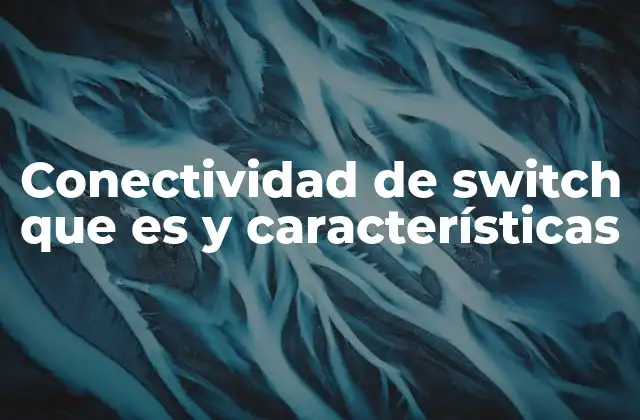 Conectividad de Switch que es y Características
