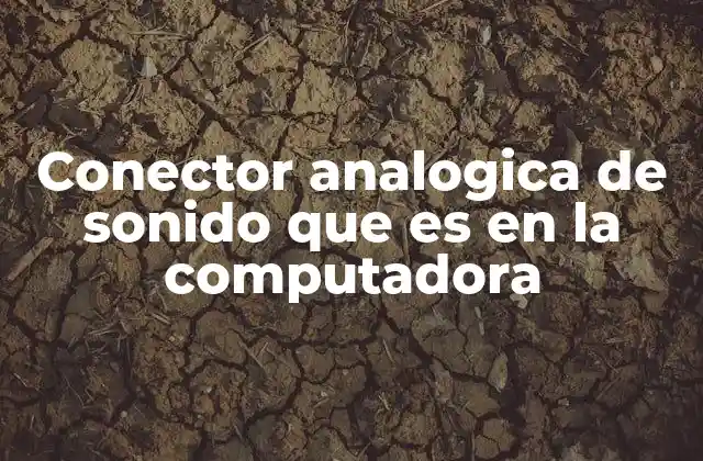 Conector Analogica de Sonido que es en la Computadora