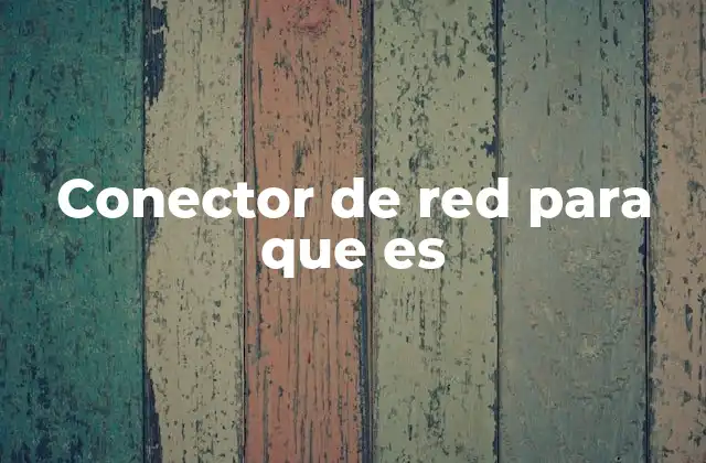 Conector de Red para que es