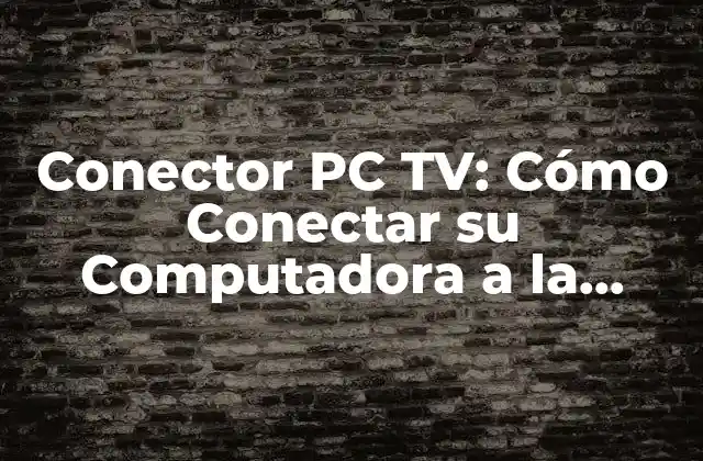 ¿Qué es un Conector PC TV?