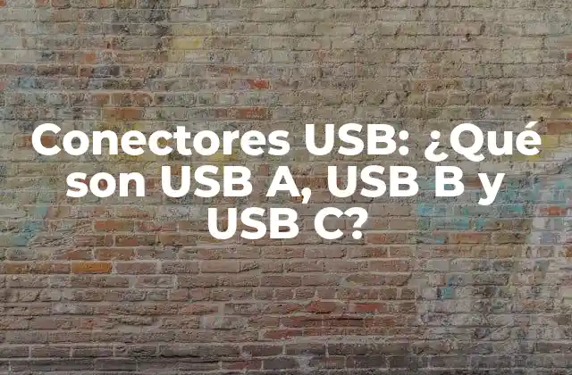 Conectores Usb: ¿qué Son Usb A, Usb B y Usb C?