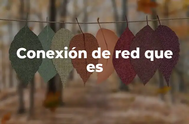 Conexión de Red que es