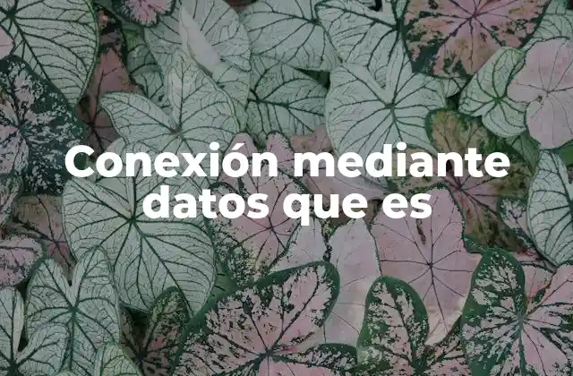 Conexión mediante Datos que es
