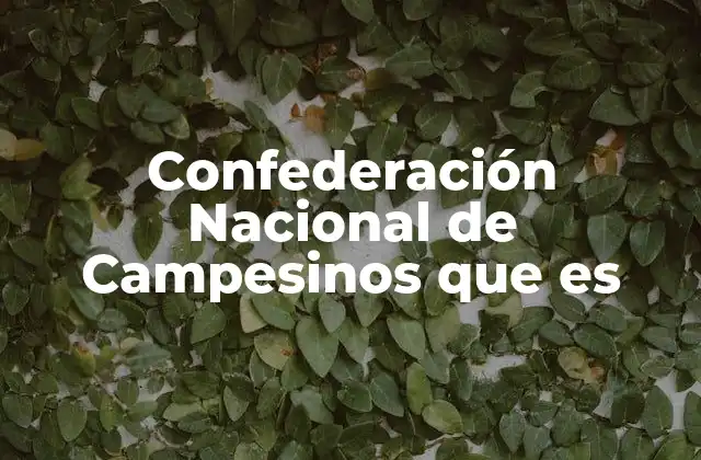 Confederación Nacional de Campesinos que es