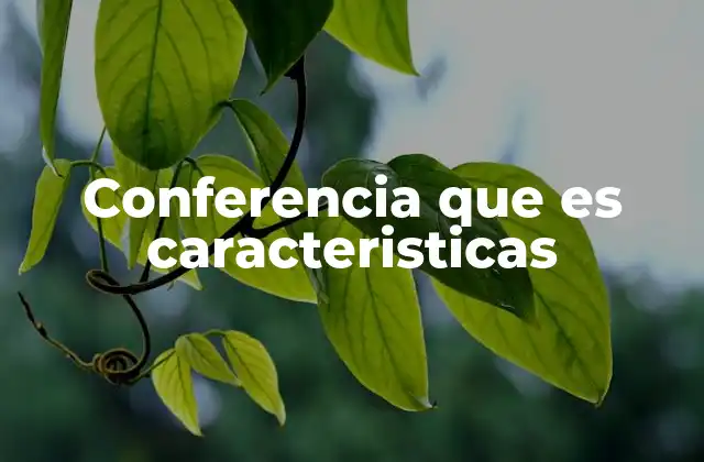 Conferencia que es Caracteristicas