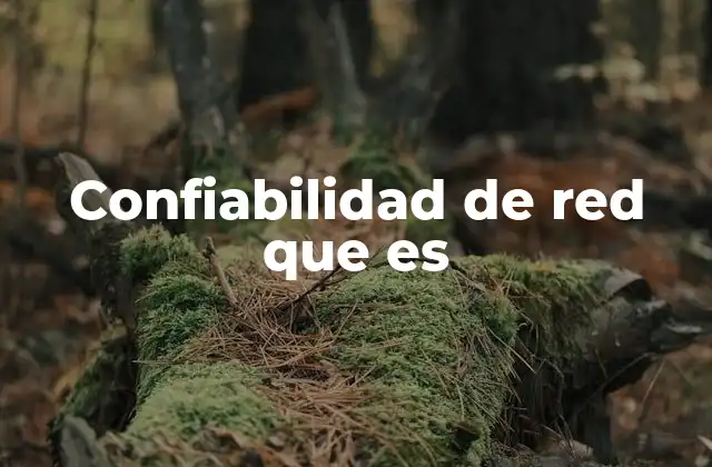 Confiabilidad de Red que es