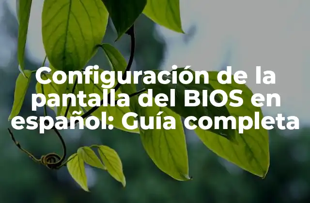Configuración de la Pantalla Del Bios en Español: Guía Completa