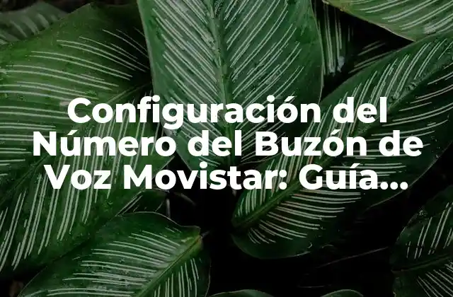 Configuración Del Número Del Buzón de Voz Movistar: Guía Completa