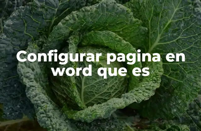 Cómo preparar tu documento para una configuración óptima