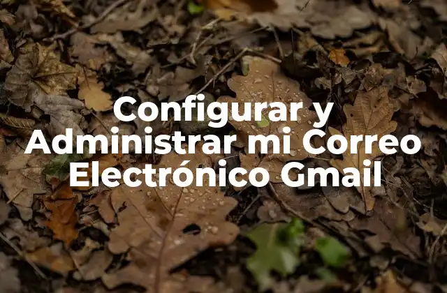 Configurar y Administrar Mi Correo Electrónico Gmail