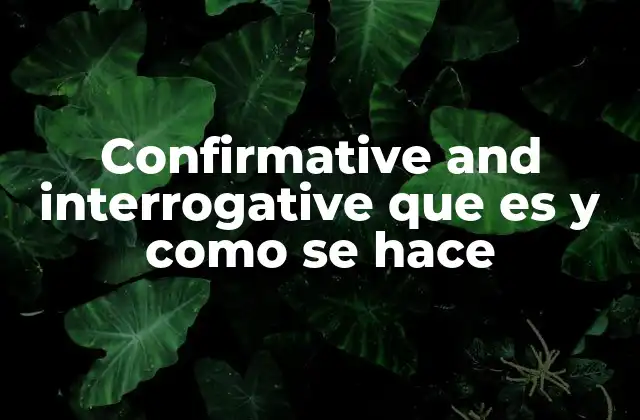 Confirmative And Interrogative que es y como Se Hace
