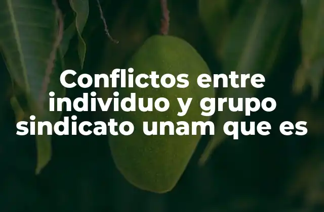 Conflictos entre Individuo y Grupo Sindicato Unam que es