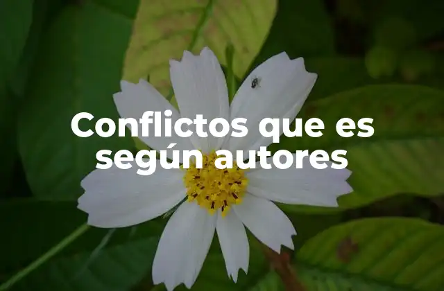 Conflictos que es según Autores