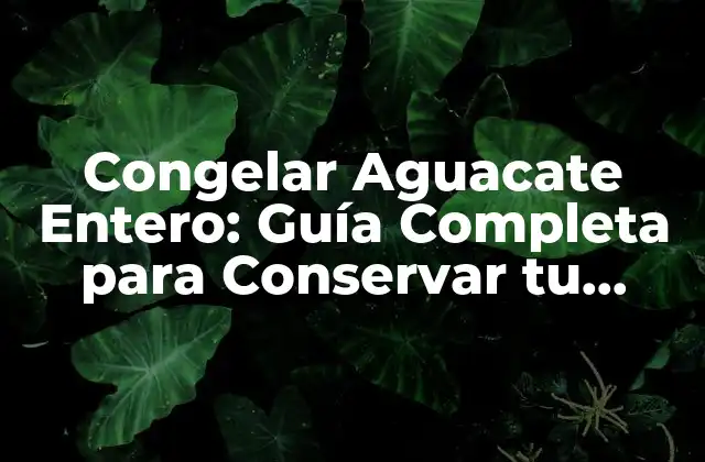 Congelar Aguacate Entero: Guía Completa para Conservar Tu Aguacate Fresco