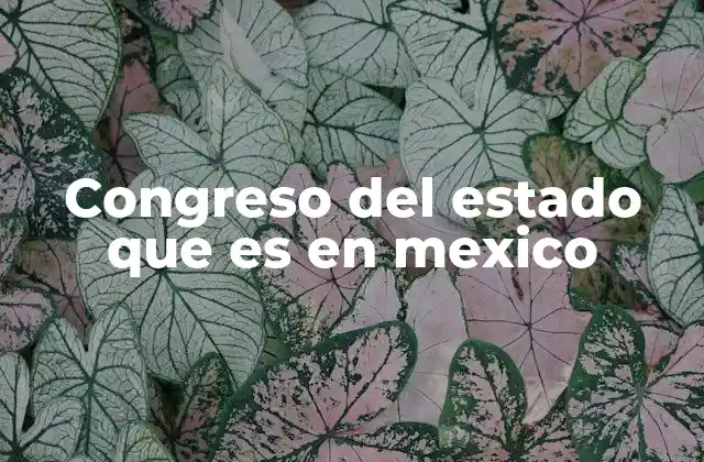 Congreso Del Estado que es en Mexico