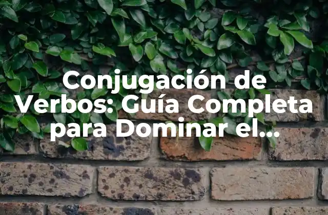 Conjugación de Verbos: Guía Completa para Dominar el Tiempo y el Modo
