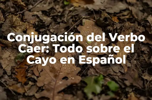 Conjugación Del Verbo Caer: Todo sobre el Cayo en Español